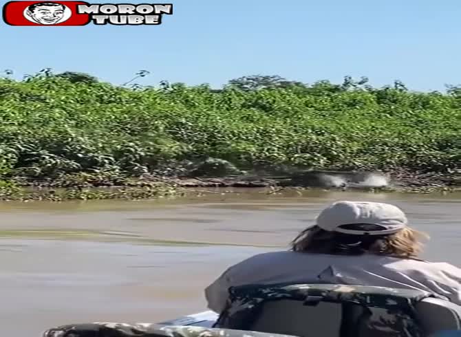 Video :The amazing moment a crocodile is attacked by a jaguar